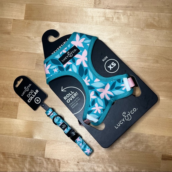Lucy & Co Other - Lucy & Co Harness and Collar